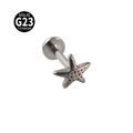Titanium labret stud with a textured starfish design made from solid G23 titanium metal - Starfish / Steel