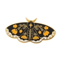 Black Yellow Floral Star Moth