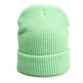 Classic mint green ribbed knit beanie with a stylish fold-up cuff for winter - One Size / Elastic / Grass Green