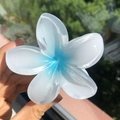 Pince à cheveux fleur de frangipanier en résine dégradé bleu au fini dépoli - Blanc + Bleu