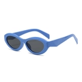 Retro trendy oval sunglasses with bright blue frame and dark grey lenses for fashion styling - Blue Frame Grey Lens