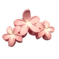 Pink and white gradient plumeria flower hair claw clip with matte resin finish - Matte Triple Plumeria Claw [Pink]