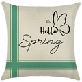 Linen pillow cover with green grid pattern and Hello Spring butterfly print design - 18x18 Inch / Hello Spring Green Cross Stripe (LYD443-4)