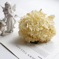 Detailed close-up of cream vintage faux hydrangea atop a magazine for home decoration - Milk White
