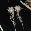 Detailweergave van kristallen bloemoorbellen met lange, glinsterende diamanten kwastjes - Zilveren Bloem Strass Kwastje Oorbellen (S925 Zilveren Naald)