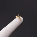 16g gold snake cartilage earring with detailed scale texture and screw ball back - Gold Snake Shape Style (354-6#G)