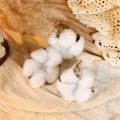 Drie natuurlijke katoenbloemstengels met zachte witte bollen op beige linnen - Gedroogde Katoenbollen