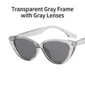 Cat eye sunglasses in transparent grey frame and dark grey lenses for a chic retro look - Transparent Grey / Grey Lens