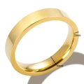 Polished 4mm gold titanium steel ring with a 2mm thickness on a clean white background - US 6 / Gold