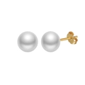 Elegant S925 sterling silver stud earrings with round white freshwater pearls in gold finish - 6-6.5mm Pearl/14K Gold Plated