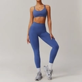 Blue high-waisted seamless yoga set including sports bra and leggings for gym fitness - Glazed Purple (Bra + Leggings)