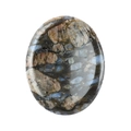 Oval worry stone crafted from natural agate with unique black and brown textures - Blue Flash Stone / 45*35*8mm