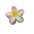 Frangipani flower hair claw clip with yellow and white gradient petals for summer styling - Gradient Bauhinia Claw [Pink]