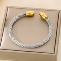 Detail of twisted cable steel bangle in silver with gold tone cylinder end caps - Two-tone Color Style (KB187903-XY)