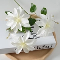 Clematis White