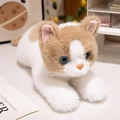 Süße orange-weiße Kätzchen-Plüschfigur mit blauen Augen in liegender Position - 45cm / Khakifarbene Ragdoll-Katze
