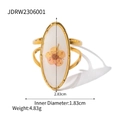 Anello dorato in acciaio inossidabile a doppia fascia con fiori secchi gialli - Stile Fiore Pressato Bianco Ovale (JDRW2306001)