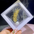 Golden wheat-shaped brooch with yellow crystals and pearl in a white display box - Ear of Wheat Style (XZ091)