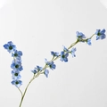 Long Stem Crabapple Blue