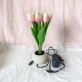 Pink tulip LED night light with 5 gradient petals and a white spherical base for bedroom - 6 Heads-Pink-Plug-in Style