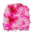 Close-up of the fluffy magenta knit beanie featuring unique long shaggy fringe texture - Pink