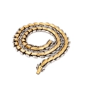 Collana a catena a spina di pesce bicolore oro e argento in stile vichingo punk - 50cm / Bicolore (Oro e Argento)