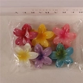 4cm Frangipani 6-piece Set Standard