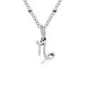 Minimalist silver stainless steel Capricorn zodiac symbol pendant chain necklace - Capricorn / Silver