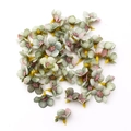 Product 6