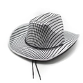 Detail of silver checkered cowboy hat with reflective finish and black chin strap - With Windproof Rope / Silver