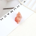 Minimalist ocean series orange-pink translucent seashell hair clip with fine texture - Style 11-Orange Pink Conch