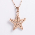 Dettaglio della collana punk oro rosa con ciondolo a pentagramma e teschio - Oro Rosa (Con Catena 450*1,5mm)