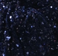 S (US 2) / Navy Blue