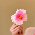 Pink and white gradient flower hair clip with yellow stamen for women fashion - Pink Gradient Hibiscus Hair Clip