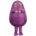 Adult inflatable purple cartoon character costume for Halloween and party events - Eggplant And Potato / One Size