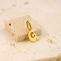 Minimalist stainless steel letter G pendant necklace in shiny gold finish on stone - Letter-G / Gold