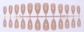 Flat lay of 24-piece nude pink almond-shaped press-on nails on a plastic frame - Glossy Nude (SD-16)