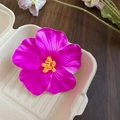 Detail of rose red hibiscus flower clip with realistic velvet texture and yellow stamen - Rose Red