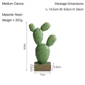 Medium resin cactus home decor with lifelike texture and wood-style base on white background - Medium Cactus-A2-171125
