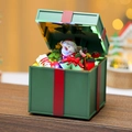 Dettaglio di una scatola regalo di Natale luminosa con pupazzo di neve e luci LED - Pupazzo di Neve Verde Carillon