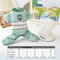 Impermeabile verde menta per cani con cappuccio rimovibile e tabella delle taglie - XS / Verde menta