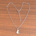 Gepolijste roestvrijstalen katten-silhouet hanger aan ketting op houten ondergrond - Kat / Zilver