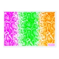 Detailed view of snake skin pattern nail stickers in fluorescent pink green and orange - WG6089 (Snake Skin)