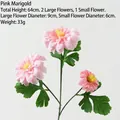 Marigold Pink
