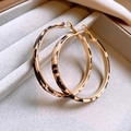Macro view of gold hoop earrings with leopard print leather detail in a jewelry box - Light Coffee Leopard (1# Silver Needle-Gold-Light Coffee)