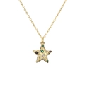 Elegante goldene Halskette mit buntem Sternanhänger und feiner goldener Gliederkette - Stern