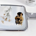 Mini acetate hair claw in tortoiseshell amber pattern reflected on a stylish silver mirror - Beige Tortoise Shell