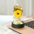 Preserved sunflower with LED lights in glass dome on a sleek black base - Green Sunflower Light + Gift Bag + Teacher's Day Card