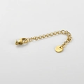 Macro shot of 18k gold-plated stainless steel extender chain with lobster clasp and S.Steel tag - Round Tag / Gold