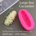 Macro view showing 10x4.3cm sea cucumber silicone mold and finished resin product - Large Sea Cucumber Mold-Pink